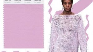 pink-lavender-2018-300x214